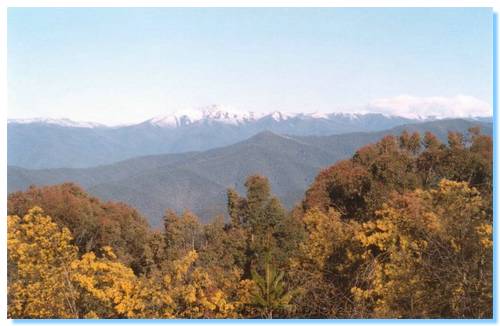 View towards Bogong from Clear Spot Lookout - Bright
