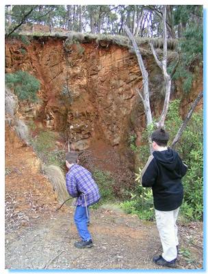 Mine diggings near Dry Creek - Strathbogie Ranges