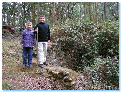 Building ruins at Historic area near Dry Creek - Strathbogie Ranges