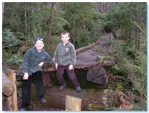 Collapsing Trestle Bridge - Michaeldene Track