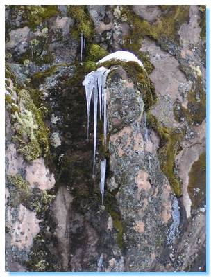 Icicles on Howitt Road