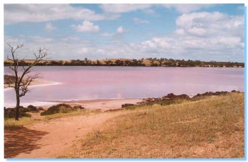 Lake Hardy, one of the Pink Lakes